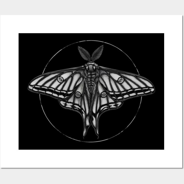 Spanish Moon Moth B&W Wall Art by Crude Casey